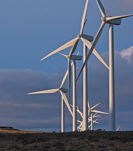 Imagem-Home---Seção-04---02